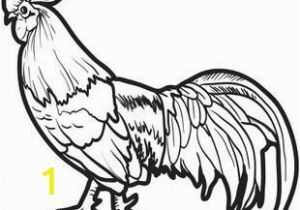 Printable Rooster Coloring Pages Realistic Chicken Coloring Page