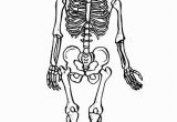 Printable Skeleton Coloring Pages Free Printable Skeleton Coloring Pages for Kids