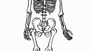 Printable Skeleton Coloring Pages Free Printable Skeleton Coloring Pages for Kids