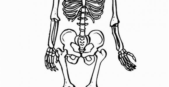 Printable Skeleton Coloring Pages Free Printable Skeleton Coloring Pages for Kids