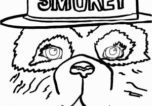 Printable Smokey the Bear Coloring Pages Smokey Bear Coloring Pages Coloring Home