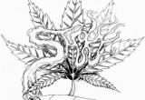 Printable Stoner Coloring Pages Pinterest