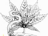 Printable Stoner Coloring Pages Pinterest