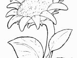 Printable Sunflower Coloring Page ÐÐ¾Ð´ÑÐ¾Ð Ð½ÑÑ Razukrashki