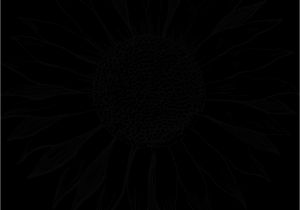 Printable Sunflower Coloring Page Free Image On Pixabay Sunflower Flower Line Art Summer
