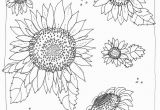 Printable Sunflower Coloring Page Kansas Day Freensunflower Coloring Page From Michaelsmakers