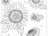 Printable Sunflower Coloring Page Kansas Day Freensunflower Coloring Page From Michaelsmakers