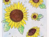 Printable Sunflower Coloring Page Kansas Day Sunflower Coloring Page
