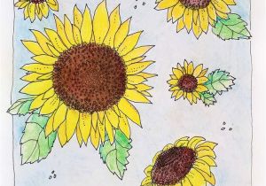 Printable Sunflower Coloring Page Kansas Day Sunflower Coloring Page