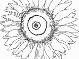 Printable Sunflower Coloring Page Sunflower Coloring Page for Kindergarten