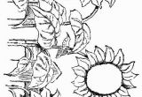 Printable Sunflower Coloring Page Sunflowers