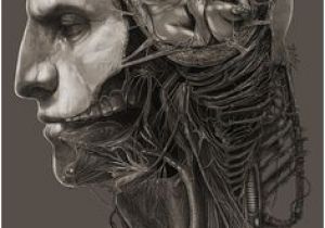 Prometheus Alien Mural On Wall 11 Best Prometheus Movie Art Images