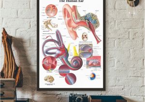 Prometheus Alien Mural On Wall Anatomical Chart Human Body Anatomy Medical Wall Art Wall Decor Silk Prints Art Poster Paintings for Living Room No Frame