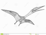 Pterosaur Coloring Pages Pterosaur Coloring Book for Adults Vector Stock Vector