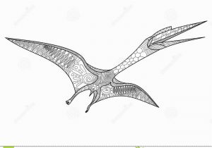 Pterosaur Coloring Pages Pterosaur Coloring Book for Adults Vector Stock Vector