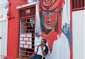 Puerto Rico Murals 71 Best Puerto Rican Street Art Images