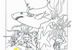 Puffer Fish Coloring Page 12 Gambar Puffer Fish Coloring Pages Terbaik Di 2019