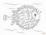 Puffer Fish Coloring Page Fish Free Clipart 126