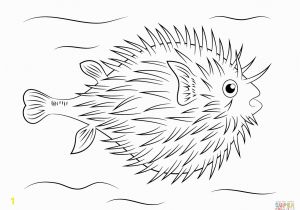 Puffer Fish Coloring Page Fish Free Clipart 126