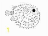 Puffer Fish Coloring Page Ilustraciones Imágenes Y Vectores De Stock sobre Puffer