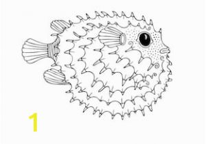 Puffer Fish Coloring Page Ilustraciones Imágenes Y Vectores De Stock sobre Puffer