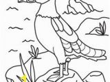 Puffin Coloring Pages to Print Birds Book E