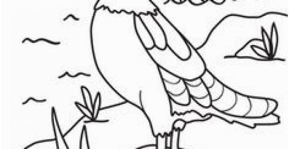 Puffin Coloring Pages to Print Birds Book E