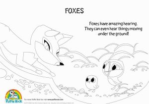 Puffin Coloring Pages to Print Puffin Rock Coloring Pages