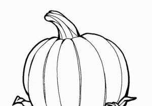 Pumpkin and Leaves Coloring Pages 195 Pumpkin Coloring Pages for Kids