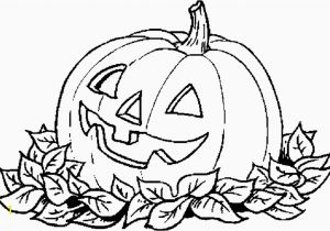Pumpkin and Leaves Coloring Pages Coloring Pages Halloween Pumpkin Pumpkin Leaves Drawing at