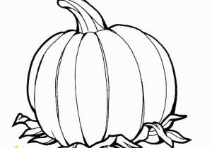 Pumpkin and Leaves Coloring Pages Leaf Coloring Page Sugar Maple Sketch Leaves Pages to Use for