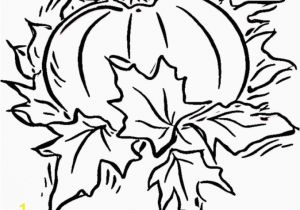 Pumpkin and Leaves Coloring Pages Pumpkin with Leaves Coloring Page Pumpkin Leaves Drawing at