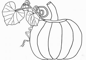 Pumpkin and Leaves Coloring Pages the Pumpkin and Leaves Coloring Pages Fallâ¡â¡â¡