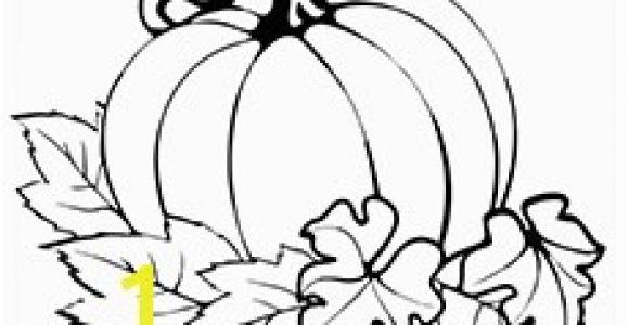 Pumpkin and Leaves Coloring Pages top 25 Free Printable Pumpkin Coloring Pages Line