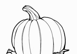 Pumpkin Coloring Pages Pdf 195 Pumpkin Coloring Pages for Kids