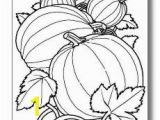 Pumpkin Patch Coloring Pages Preschool 233 Best Halloween & Pumpkin Patch Images