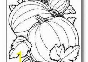 Pumpkin Patch Coloring Pages Preschool 233 Best Halloween & Pumpkin Patch Images