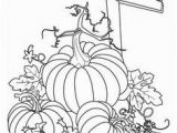 Pumpkin Patch Coloring Pages Preschool 458 Best Fall Coloring Images