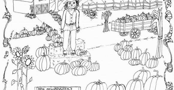 Pumpkin Patch Coloring Pages Preschool Pumpkin Patch Coloring Page Printable