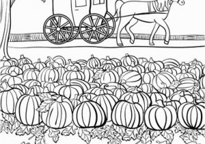 Pumpkin Patch Coloring Pages Pumpkin Coloring Pages