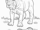 Puppies and Kitties Coloring Pages New Coloring Pages Dog for Kids Baby Puppy and Cat