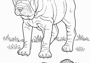 Puppies and Kitties Coloring Pages New Coloring Pages Dog for Kids Baby Puppy and Cat