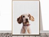 Puppy Dog Wall Murals Dog Wall Art Print Dog Printable Poster Digital Download Nursery Animal Decor Modern Puppy Print Puppy Printable Wall Art