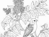 Purple Finch Coloring Page New Hampshire Purple Finch and Purple Lilac Coloring Page