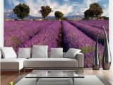 Purple Wall Murals Uk Lavender Field In Provence France 3 09m X 400cm Wallpaper