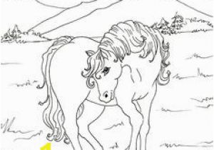 Race Horse Coloring Pages Printable 443 Best Coloring Horses Images On Pinterest