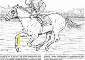 Race Horse Coloring Pages Printable 60 Best Color Horses Petition Images