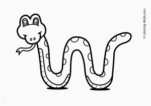 Rainforest Animal Coloring Pages Rainforest Animals Coloring Pages