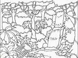 Rainforest Coloring Page Fresh Rainforest Coloring Sheet Collection