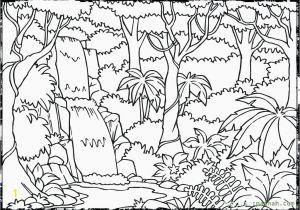 Rainforest Leaves Coloring Pages Rainforest Coloring Pages Unique Cool Coloring Page Unique Witch